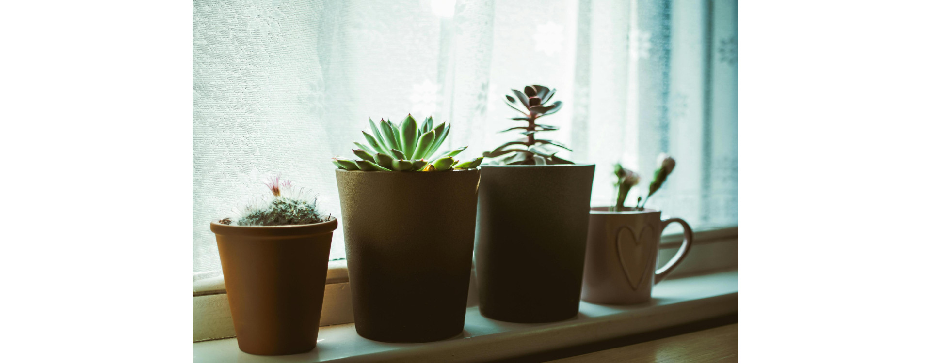 Jakie parapety sprawdzą się do ciemnych okien?